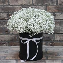 Цветочная композиция из Гипсофила в шляпной коробке #REPLACE_PRED# Красноуфимске